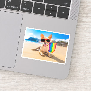 Adesivo Cão Chihuahua na praia