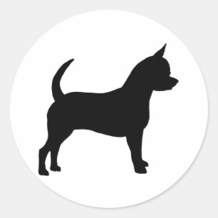 Adesivo Cão da chihuahua