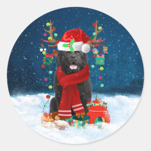 Adesivo Cão da Terra Nova com presentes de Natal