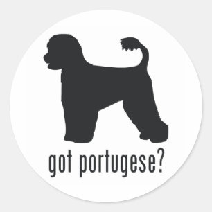 Adesivo Cão de água português
