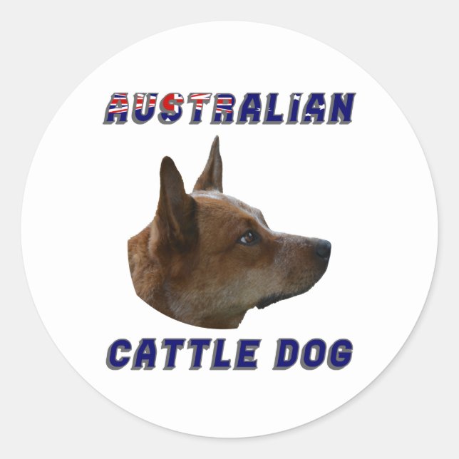 Adesivo Cão de Bovinos Australiano (Frente)