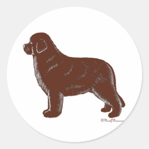 Adesivo Cão de Brown Terra Nova