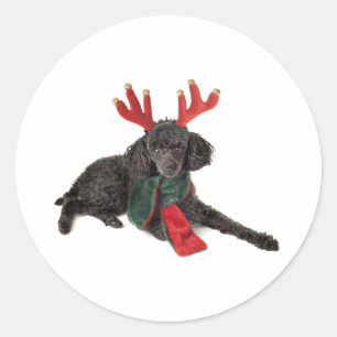 Adesivo Cão de caniche preto do brinquedo do Natal vestid
