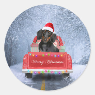 Adesivo Cão de Dachshund em Neve sentado no Caminhão de 