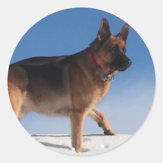 Adesivo Cão De German shepherd Saudável E Feliz (Frente)