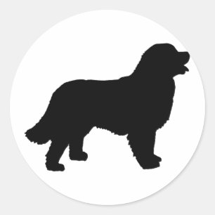 Adesivo Cão de montanha de Bernese (silhueta preta)