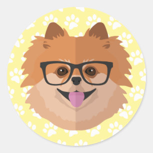 Adesivo Cão de Pomeranian no presente bonito do hipster