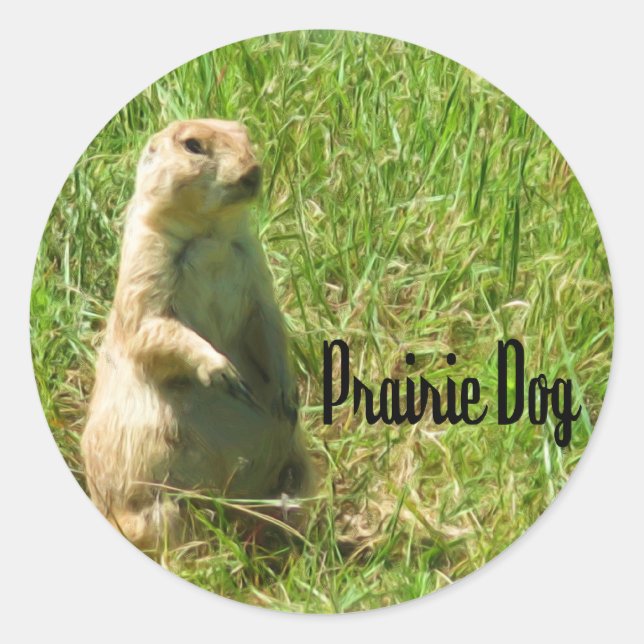 Adesivo Cão de pradaria (Frente)