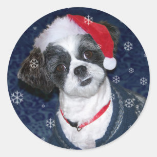 Adesivo Cão de Shih Tzu do Natal
