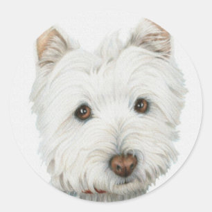 Adesivo Cão de Westie