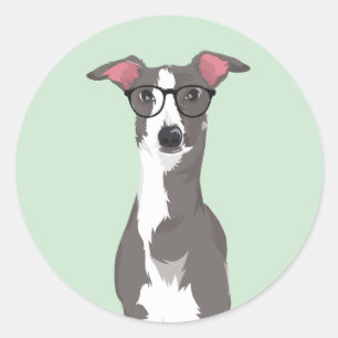 Adesivo Cão do galgo italiano do hipster para amantes do
