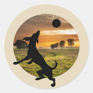 Adesivo Cão em jogo