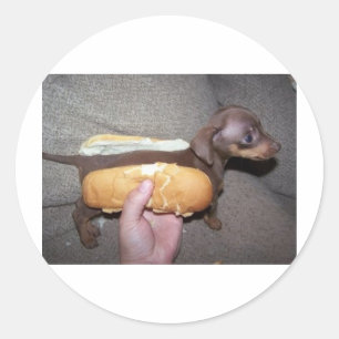 Adesivo Cão em um bolo