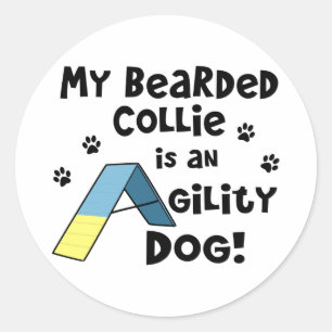 Adesivo Cão farpado da agilidade do Collie