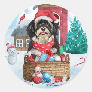 Adesivo Cão Havanês na Casa de Natal na Neve