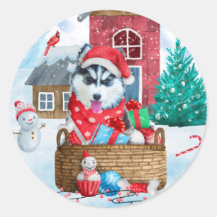 Adesivo Cão Husky Siberiano na Casa de Cachorro de Natal n