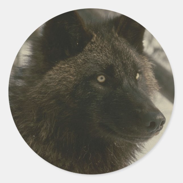 Adesivo Cão Lobo Negro (Frente)