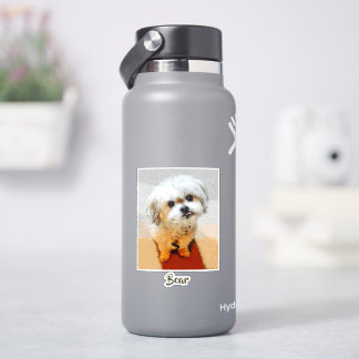 Adesivo Cão Malshi