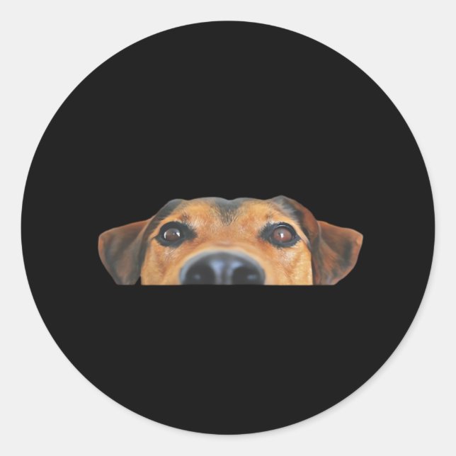 Adesivo Cão Peekaboo (Frente)