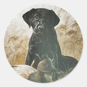 Adesivo Cão preto do chamariz de labrador retriever do