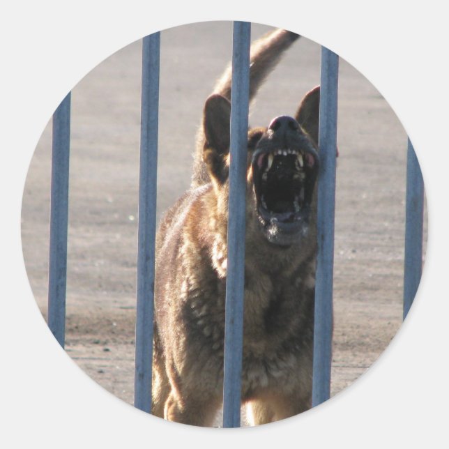 Adesivo Cão que ladra (Frente)