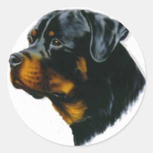 Adesivo cão rottweiler