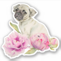 Cãozinho Cãozinho Rosa Floral