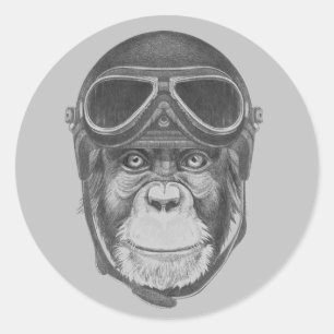 Adesivo Capacete Vintage Chimpanzé