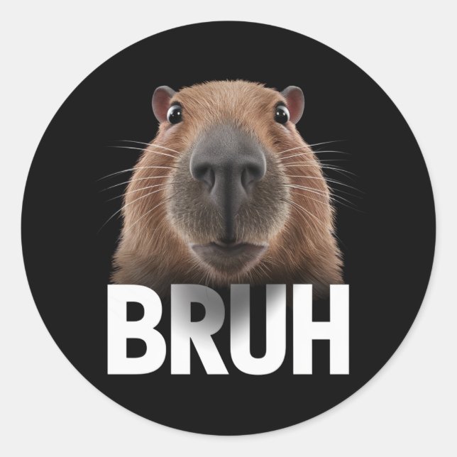 Adesivo Capivara Engraçada Bruh  (Frente)