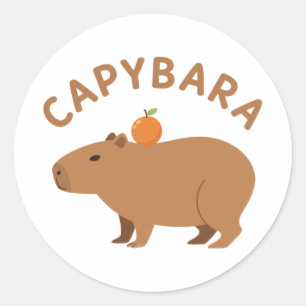 Adesivo Capivara Fofa Com Laranja Na Cabeça Meme Minimalis
