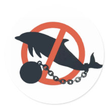 CAPTIVEIRO DO GOLFINHO DA PROIBIÇÃO