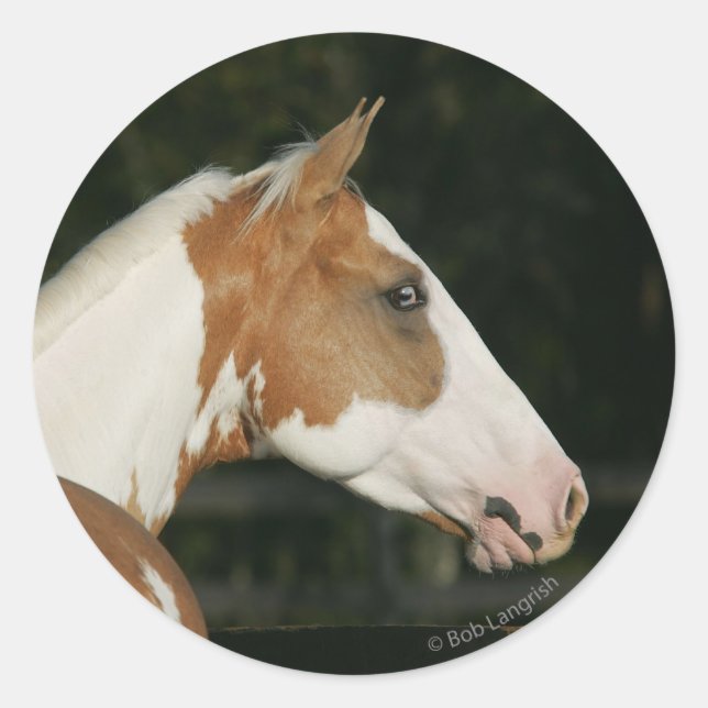 Adesivo Captura de Cabeça de Tinta Cavalo 2 (Frente)