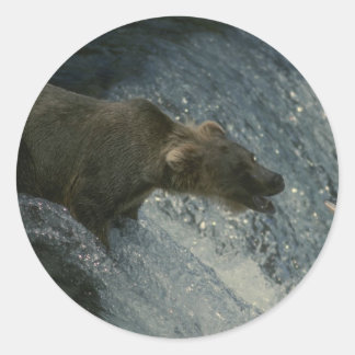 Adesivo Captura de Ursos Grizzly para Salmão
