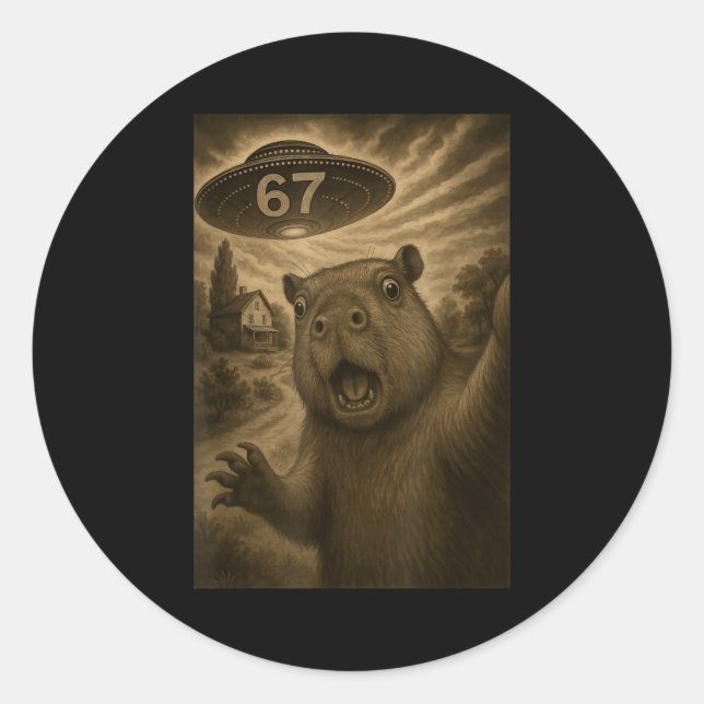 Adesivo Capybara Selfie 67 Meme Seis Sete Ufo Engraçado  (Frente)