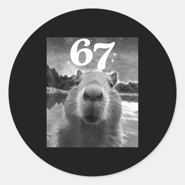 Adesivo Capybara Selfie With 67 Meme Capy Graphic For Men  (Frente)