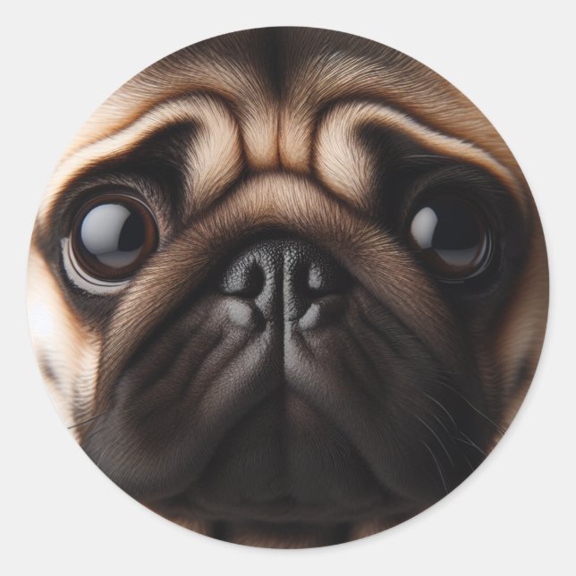 Adesivo Cara de Pug Fofa Cachorros Pug (Frente)