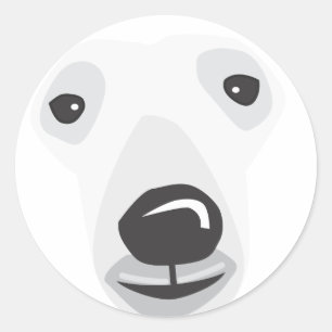 Adesivo Cara do urso polar
