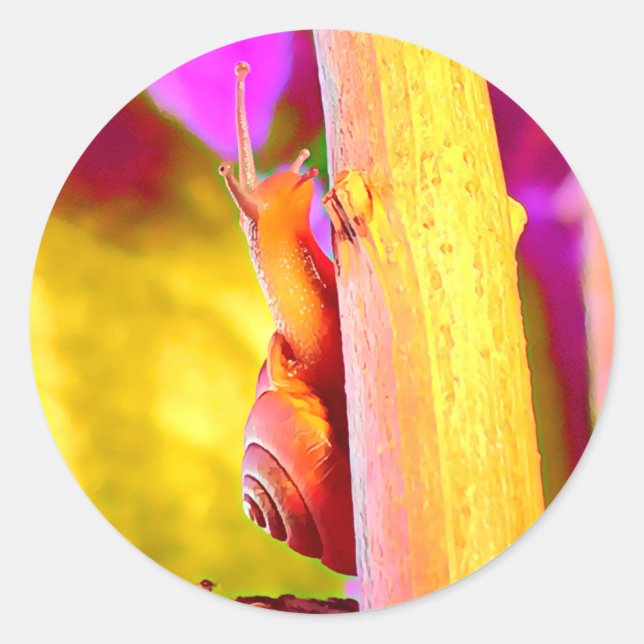 Adesivo Caracol (Frente)