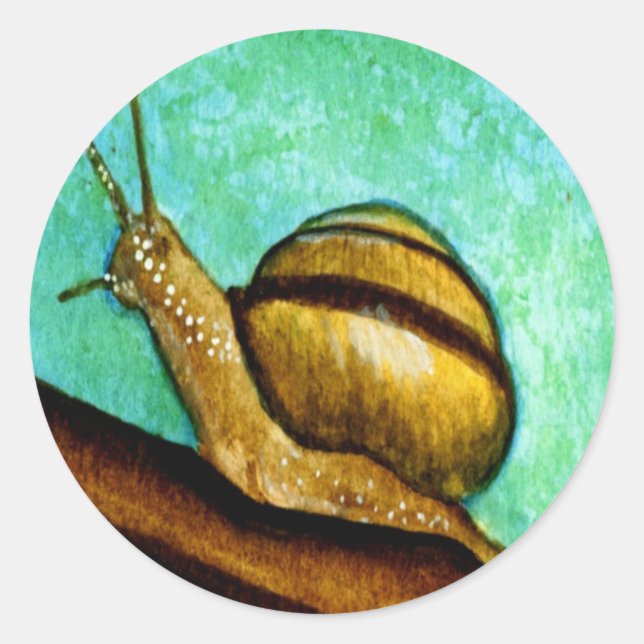 Adesivo Caracol 1 Folha adesiva (Frente)