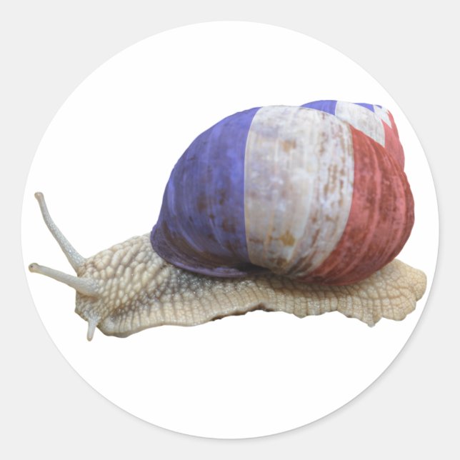 Adesivo Caracol-de-bandeira francês (Frente)
