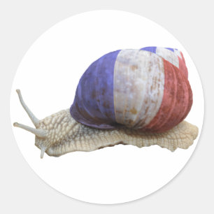Adesivo Caracol francês da bandeira