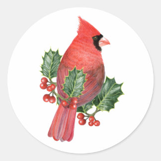 Adesivo Cardeal de Holly Christmas Sticker