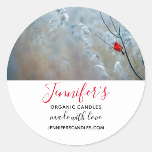 Adesivo Cardeal Vermelho no Winter Nature Photo Business