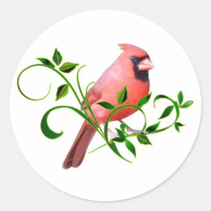 Adesivo Cardinal