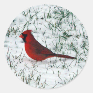 Adesivo Cardinal do dia de os namorados