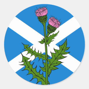 Adesivo Cardo escocês