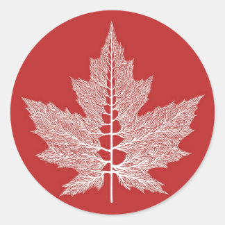 Adesivo Carimbo de Veias Folha (Vermelho)