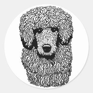 Adesivo Carneiro Whimsic Cabeça de Cachorro Animais de est