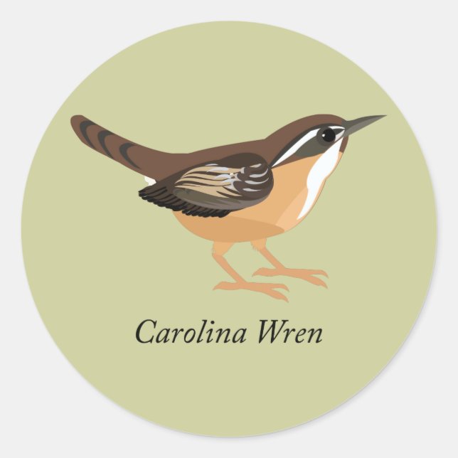 Adesivo Carolina Wren (Frente)