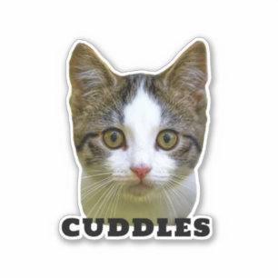 Adesivo Carregue o Pet Photo & Name Personalised Sticker